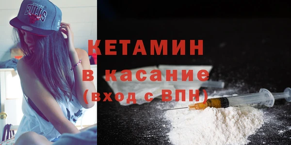 крисы Кулебаки