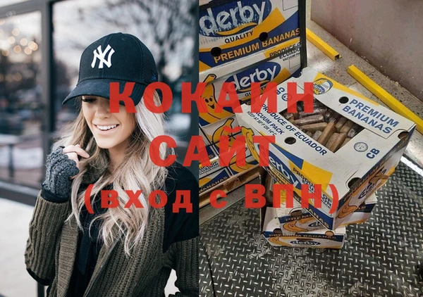 крисы Кулебаки
