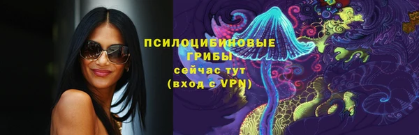крисы Кулебаки