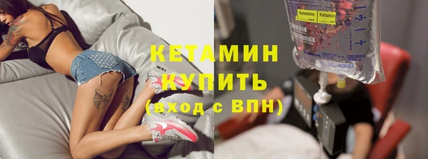 крисы Кулебаки