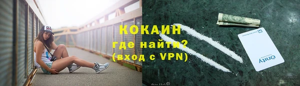 крисы Кулебаки