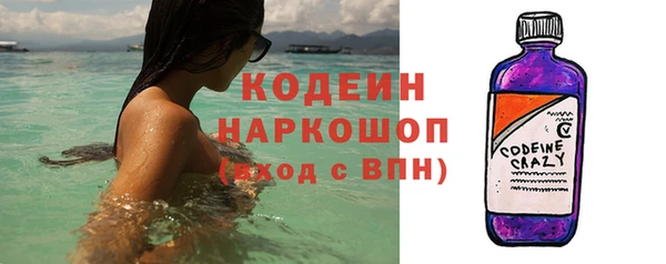 крисы Кулебаки